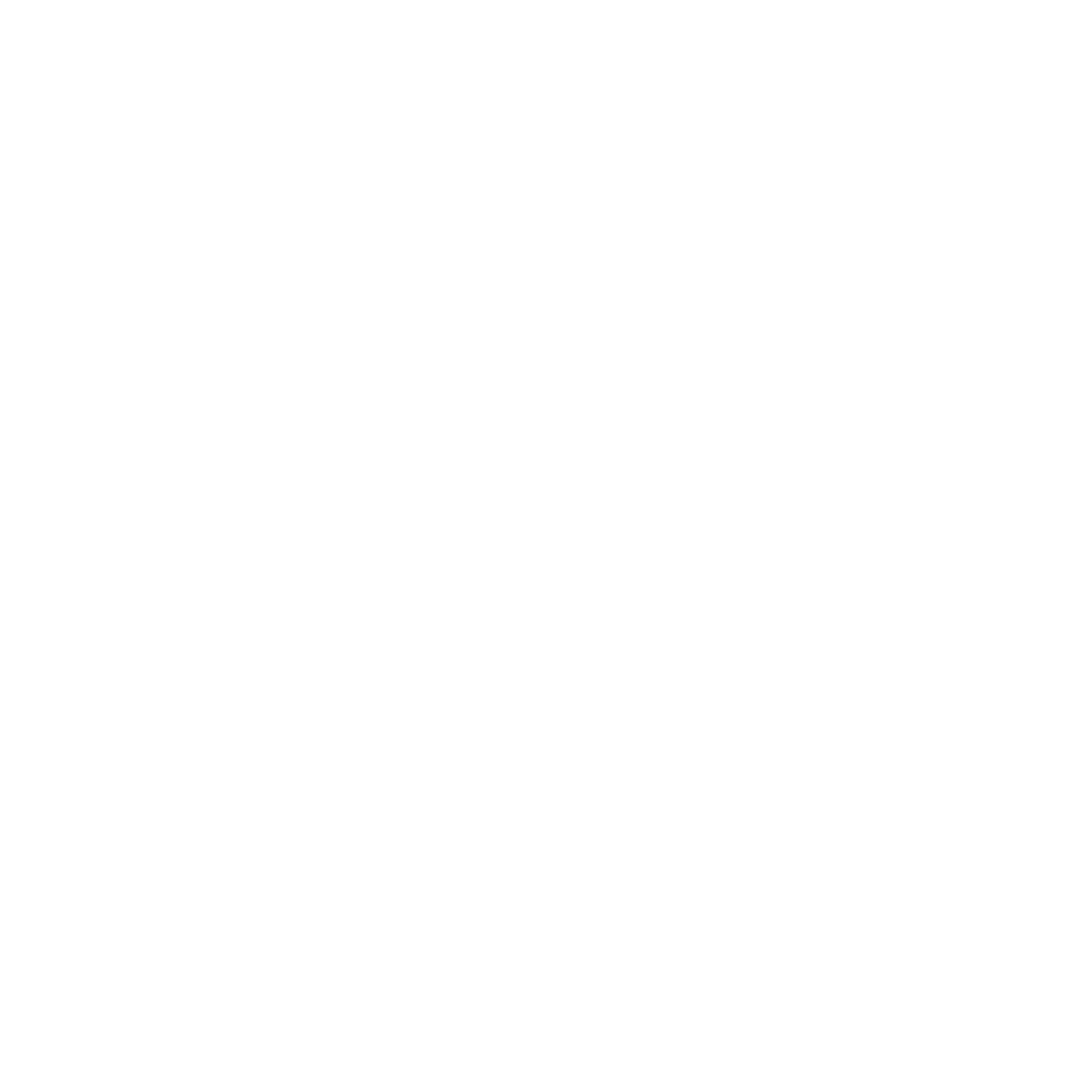 Vittoria's Secret Brand Kit (1)